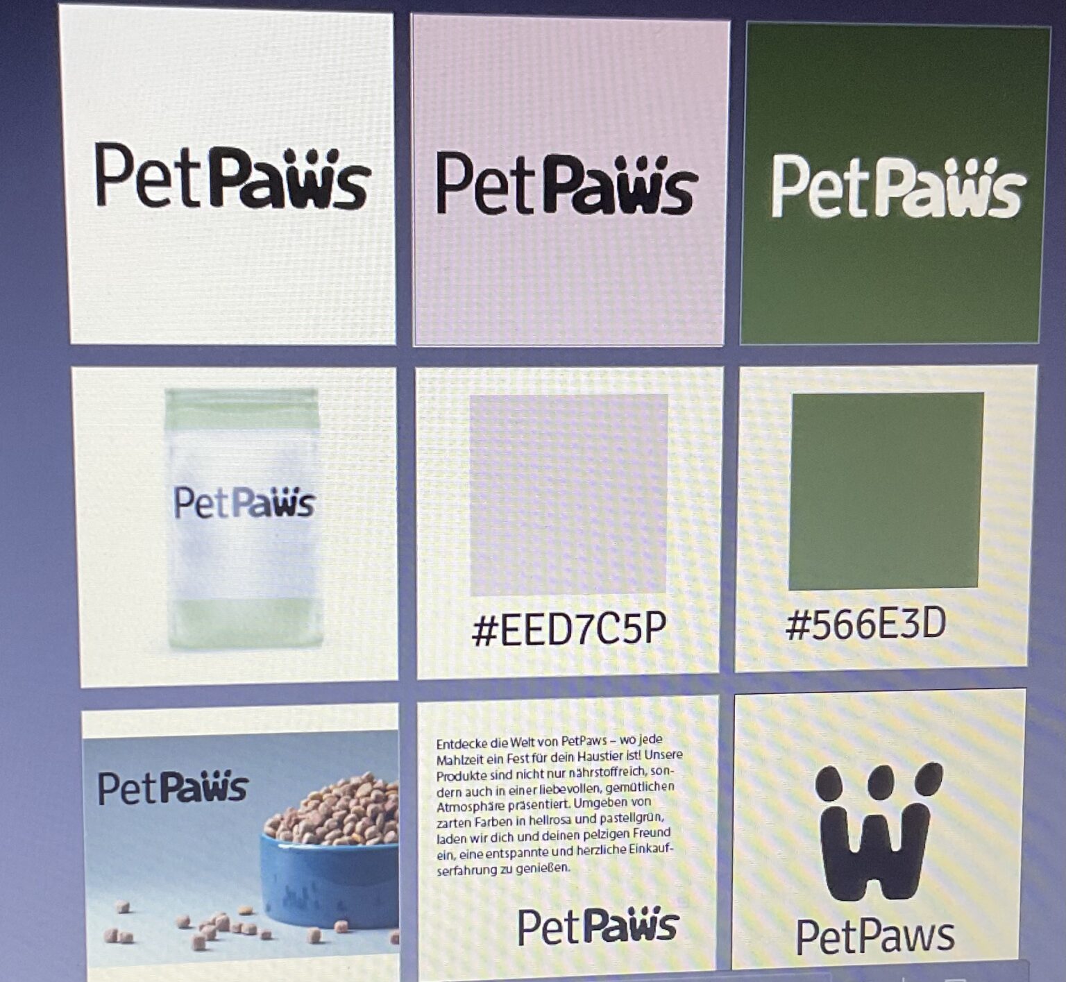 Stylesheet zu Konzeptfirma "PetPaws"